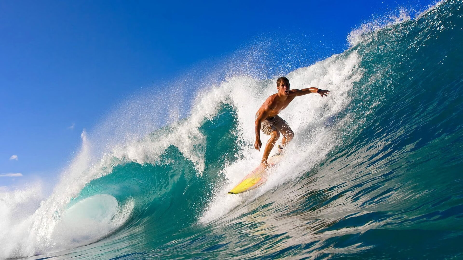 自由泳中程比利时节奏明快，自由泳业务选手速度